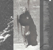 Load image into Gallery viewer, Santana : Spirits Dancing In The Flesh (LP, Album)