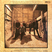 Load image into Gallery viewer, Tom Petty And The Heartbreakers : Southern Accents (LP, Album)