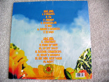 Load image into Gallery viewer, Blink-182 : Buddha (LP, Album, RE, RM, Cle)