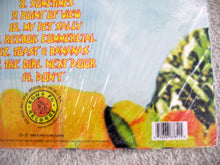 Load image into Gallery viewer, Blink-182 : Buddha (LP, Album, RE, RM, Cle)