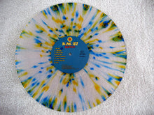 Load image into Gallery viewer, Blink-182 : Buddha (LP, Album, RE, RM, Cle)