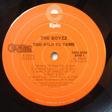 Load image into Gallery viewer, The Boyzz : Too Wild To Tame (LP, Album, Ter)