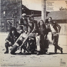 Load image into Gallery viewer, The Boyzz : Too Wild To Tame (LP, Album, Ter)
