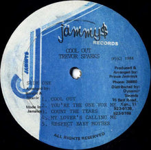 Load image into Gallery viewer, Trevor Sparks : Cool Out (LP, Album)