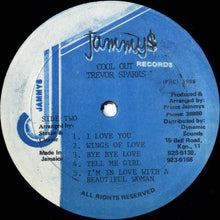 Load image into Gallery viewer, Trevor Sparks : Cool Out (LP, Album)