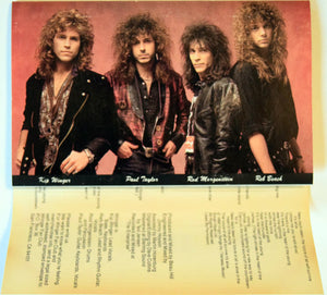 Winger : In The Heart Of The Young (Cass, Album)