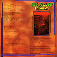 Load image into Gallery viewer, Joe Walsh : So What (LP, Album, Pit)