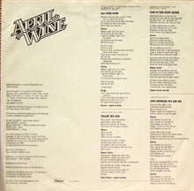 Load image into Gallery viewer, April Wine : The Nature Of The Beast (LP, Album)