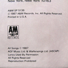 Load image into Gallery viewer, Suzanne Vega : Solitude Standing (LP, Album)