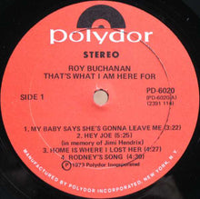 Load image into Gallery viewer, Roy Buchanan : That&#39;s What I Am Here For (LP, Album)