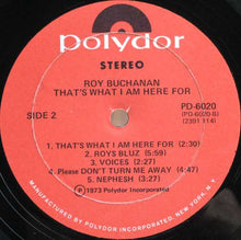 Load image into Gallery viewer, Roy Buchanan : That&#39;s What I Am Here For (LP, Album)