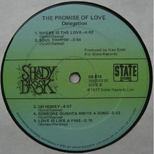 Load image into Gallery viewer, Delegation : The Promise Of Love (LP, Album)