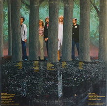 Load image into Gallery viewer, Styx : The Grand Illusion (LP, Album, y -)