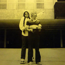 Load image into Gallery viewer, Nicolette Larson : Nicolette (LP, Album, Los)