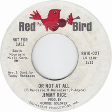 Load image into Gallery viewer, Jimmy Rice : Or Not At All (7", Single, Promo)