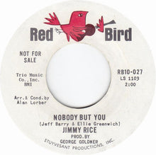 Load image into Gallery viewer, Jimmy Rice : Or Not At All (7", Single, Promo)