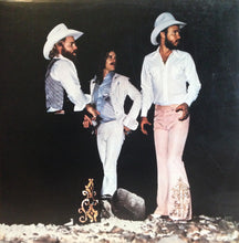Load image into Gallery viewer, ZZ Top : Tejas (LP, Album, RIc)