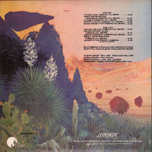 Load image into Gallery viewer, ZZ Top : Tejas (LP, Album, RIc)