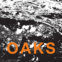 Load image into Gallery viewer, Oaks (5) : Oaks (Cass, EP)