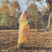 Load image into Gallery viewer, The Allman Brothers Band : Brothers And Sisters (LP, Album, Gat)