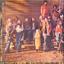 Load image into Gallery viewer, The Allman Brothers Band : Brothers And Sisters (LP, Album, Gat)
