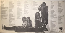 Load image into Gallery viewer, Fleetwood Mac : Rumours (LP, Album, Win)