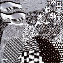 Load image into Gallery viewer, Twenty One Pilots : Blurryface (2xLP, Album)