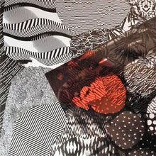 Load image into Gallery viewer, Twenty One Pilots : Blurryface (2xLP, Album)