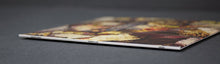Load image into Gallery viewer, Dendritic Arbor : Romantic Love (LP, Album, Ltd, Spl)
