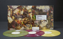 Load image into Gallery viewer, Dendritic Arbor : Romantic Love (LP, Album, Ltd, Spl)