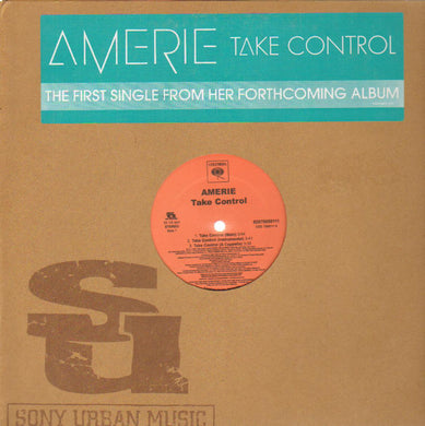 Amerie : Take Control / That's What U R (12