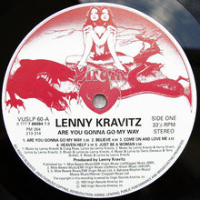 Load image into Gallery viewer, Lenny Kravitz : Are You Gonna Go My Way (LP, Album)