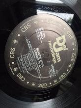 Load image into Gallery viewer, Beastie Boys : Licensed To Ill (LP, Album, Gat)