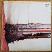 Load image into Gallery viewer, Beastie Boys : Licensed To Ill (LP, Album, Gat)