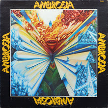 Load image into Gallery viewer, Ambrosia (2) : Ambrosia (LP, Album, Pit)