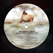 Load image into Gallery viewer, The Beach Boys : Keepin' The Summer Alive (LP, Album, Ter)