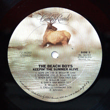 Load image into Gallery viewer, The Beach Boys : Keepin' The Summer Alive (LP, Album, Ter)