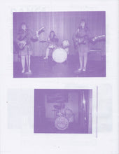 Load image into Gallery viewer, The Shaggs : Philosophy Of The World (LP, Album, RE, RM, Gat)