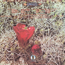 Load image into Gallery viewer, Eagles : Eagles (LP, Album, RE)