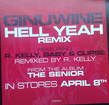 Load image into Gallery viewer, Ginuwine : Hell Yeah (Remix) (12&quot;, Promo)