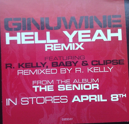 Ginuwine : Hell Yeah (Remix) (12