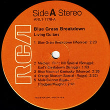 Load image into Gallery viewer, Living Guitars : Blue Grass Breakdown (LP)