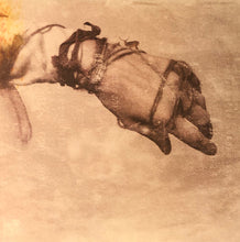 Load image into Gallery viewer, Jónsi : Go (LP, Album, 180)