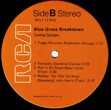 Load image into Gallery viewer, Living Guitars : Blue Grass Breakdown (LP)