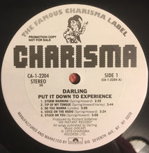 Load image into Gallery viewer, Darling (5) : Put It Down To Experience (LP, Album, Promo)