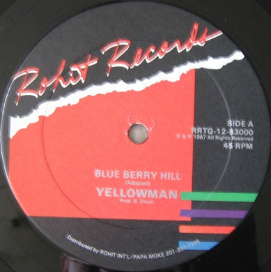 Yellowman : Blue Berry Hill (12
