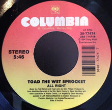 Load image into Gallery viewer, Toad the Wet Sprocket : Fall Down (7")