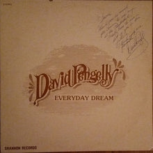 Load image into Gallery viewer, David Pengelly : Everyday Dream (LP)