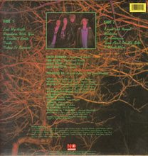Load image into Gallery viewer, Junk Monkeys : Soul Cakes (LP, Album)