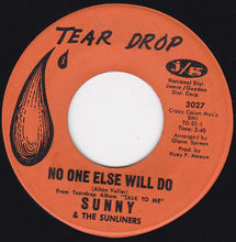 Load image into Gallery viewer, Sunny &amp; The Sunliners : No One Else Will Do (7")